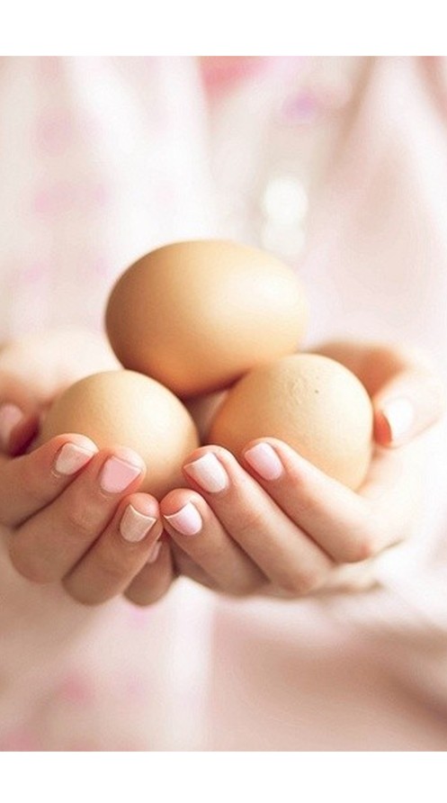 How much do egg donors get paid in South Africa – eggs symbolising egg donation and fertility preservation